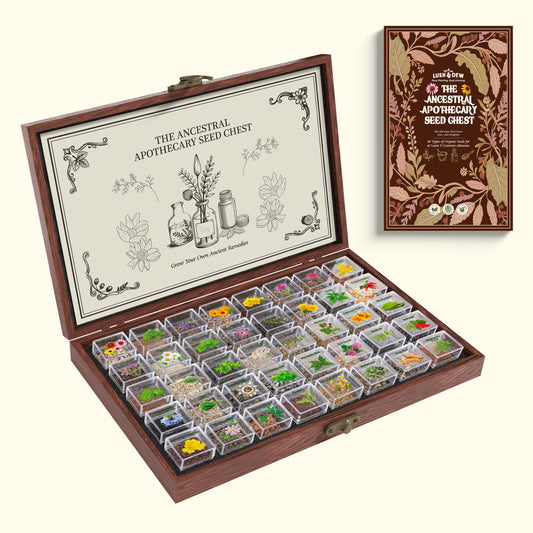 The Ancestral Apothecary Seed Chest - 40 Varieties of Medicinal Herb Seeds
