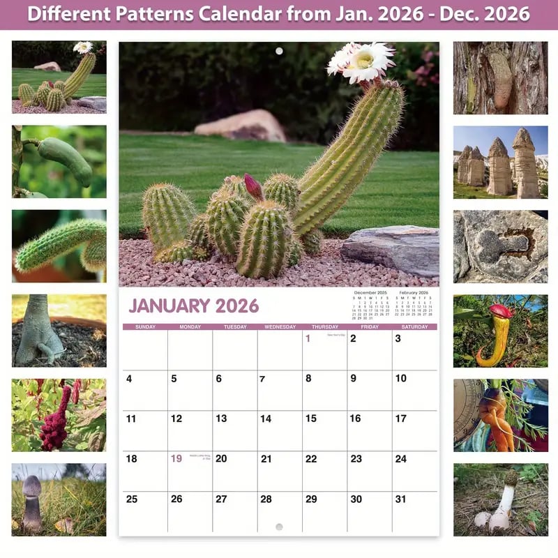 Funny 2026 Wall Calendar - Large 11x8.5 Inch Funny Birthday or Office Decoration