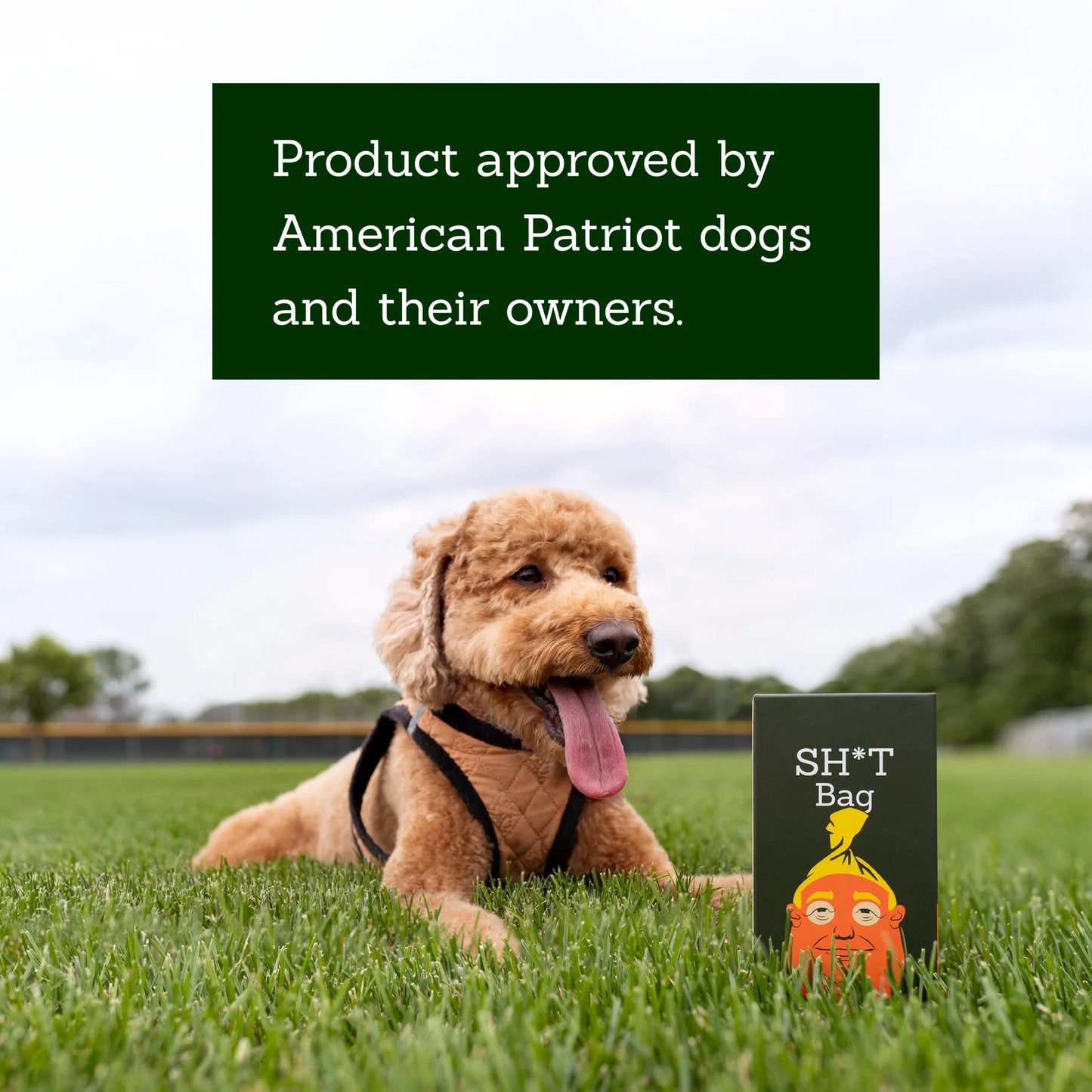 SH*T Bag(60 Count) — “The Most Fun Gift Of 2025!”